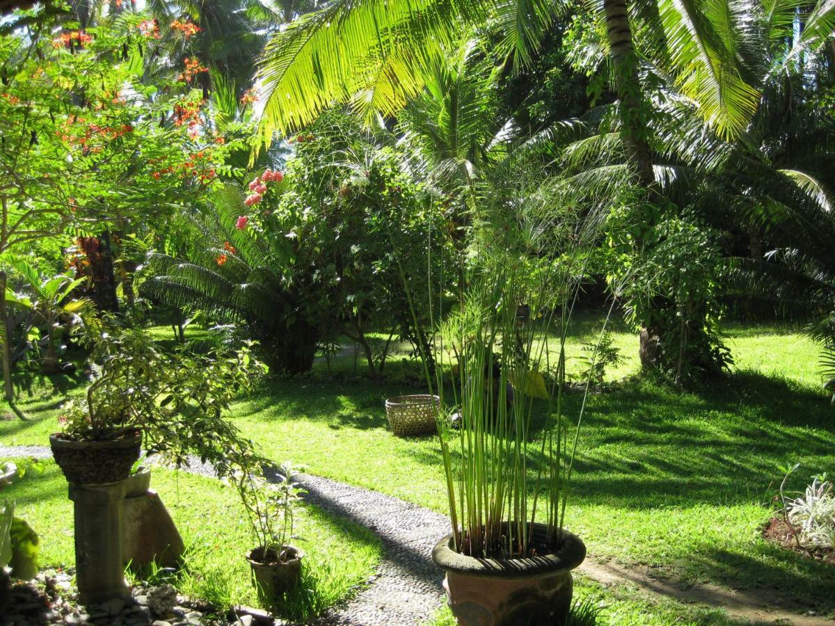 Bali Sandat Теджакула Экстерьер фото
